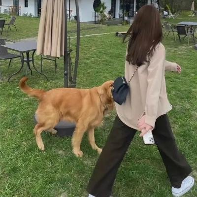 毒女心 在线观看